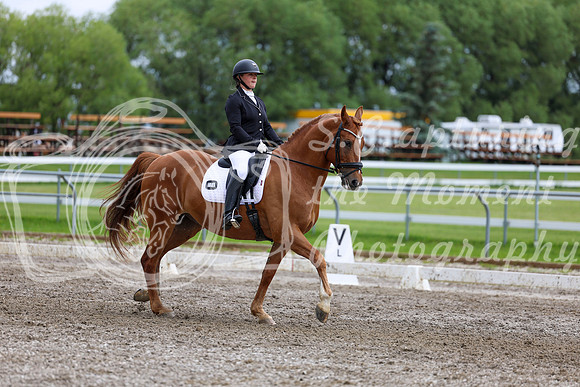 2025 - Dressage Festival - Sunday July 6th - 11084