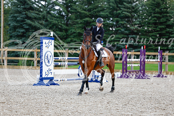 2025 - Haylee - Picco Horse Show - Sunday July 27th 04931