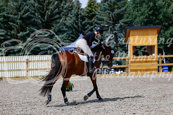 2025 - Haylee - Picco Horse Show - Thursday July 24th 02261