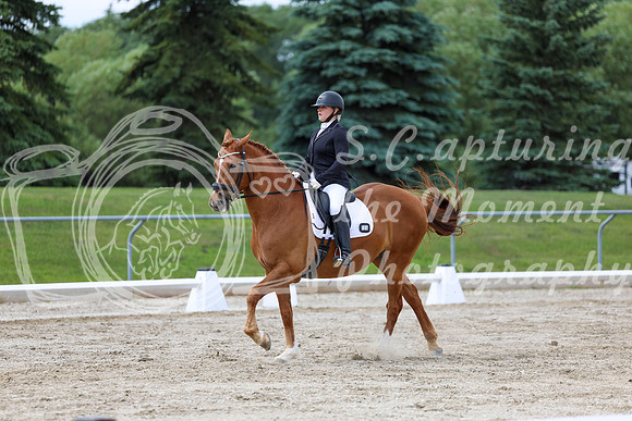 2025 - Dressage Festival - Saturday July 5th - 11181