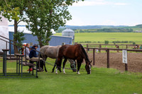 2025 - Shea - Teesdale - Thursday July 24th - 00005