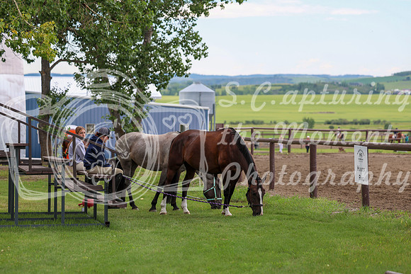 2025 - Shea - Teesdale - Thursday July 24th - 00005