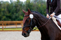 2025 - Haylee - Picco Horse Show - Sunday July 27th 00883