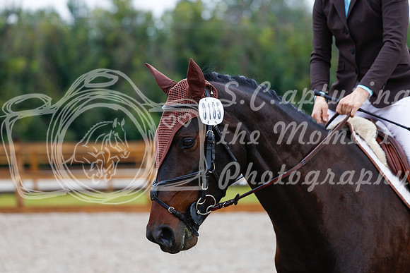 2025 - Haylee - Picco Horse Show - Sunday July 27th 00883