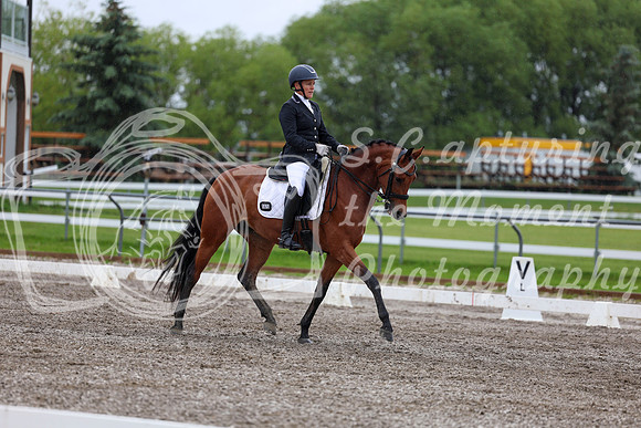 2025 - Dressage Festival - Sunday July 6th - 06517