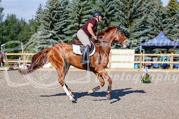 2025 - Haylee - Picco Horse Show - Thursday July 24th 00247