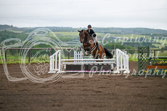 2025 - MJ - Teesdale - Saturday July 26th - 05525