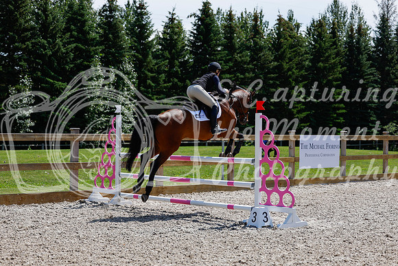 2025 - Haylee - Picco Horse Show - Thursday July 24th 03482