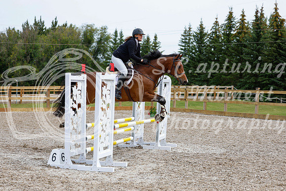 2025 - Haylee - Picco Horse Show - Friay July 25th 01944