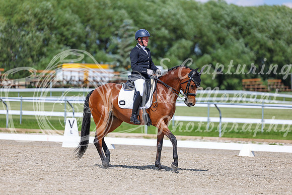 2025 - Dressage Festival - Saturday July 5th - 15516