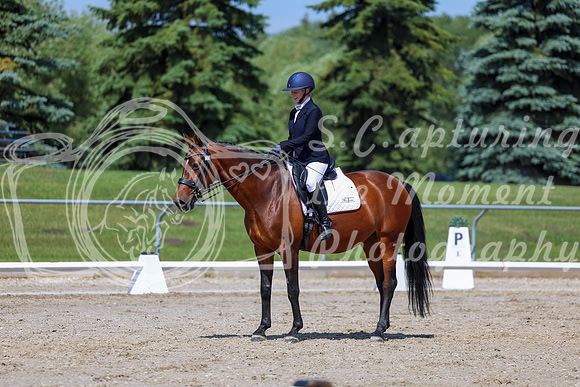 2025 - Dressage Festival - Saturday July 5th - 05661