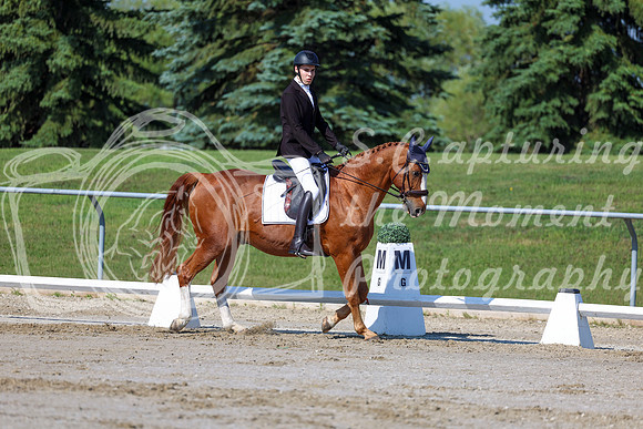 2025 - Dressage Festival - Saturday July 5th - 01706