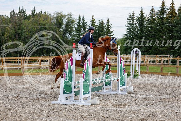 2025 - Haylee - Picco Horse Show - Saturday July 26th 01769
