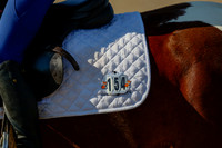 2025 - Haylee - Picco Horse Show - Thursday July 24th 00546