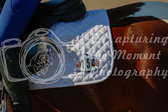 2025 - Haylee - Picco Horse Show - Thursday July 24th 00546