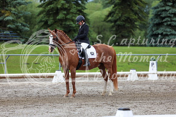 2025 - Dressage Festival - Sunday July 6th - 10402