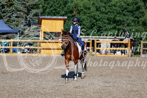 2025 - Haylee - Picco Horse Show - Thursday July 24th 00535