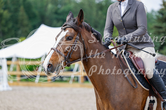 2025 - Haylee - Picco Horse Show - Saturday July 26th 03967