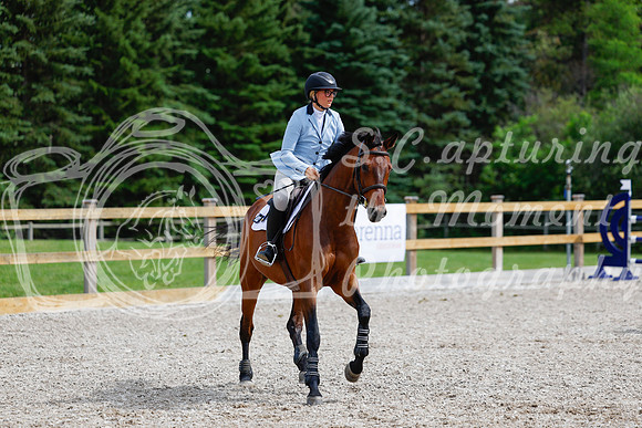 2025 - Haylee - Picco Horse Show - Friay July 25th 04603