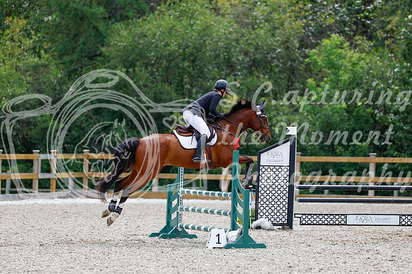 2025 - Haylee - Picco Horse Show - Sunday July 27th 03877