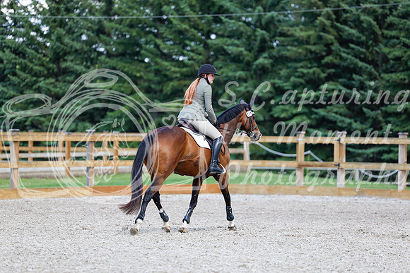 2025 - Haylee - Picco Horse Show - Sunday July 27th 05262