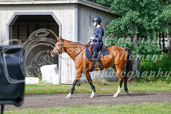 2025 - Haylee - Picco Horse Show - Friay July 25th 00764