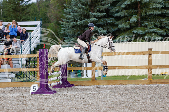 2025 - Haylee - Picco Horse Show - Friay July 25th 00958