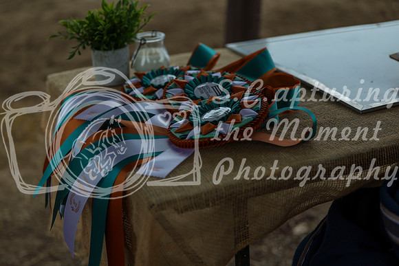 2025 - Shea - Teesdale - Saturday July 26th - 12843