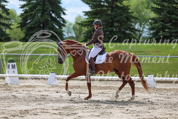 2025 - Dressage Festival - Saturday July 5th - 14157