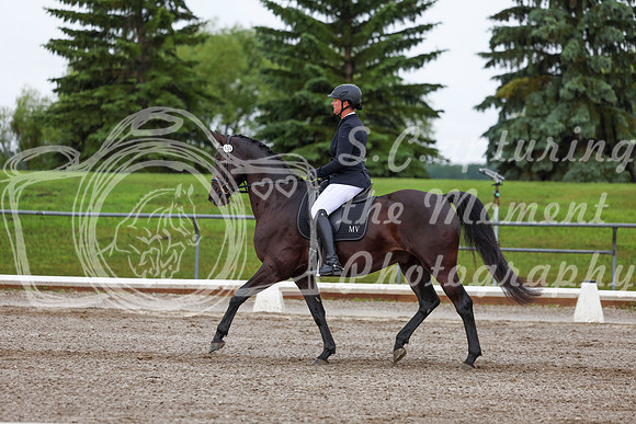 2025 - Dressage Festival - Sunday July 6th - 01895