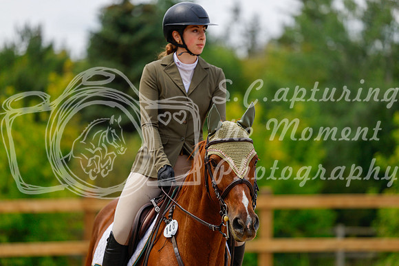 2025 - Haylee - Picco Horse Show - Saturday July 26th 06073