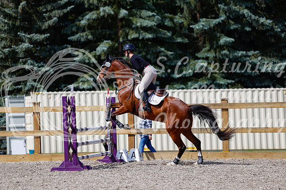 2025 - Haylee - Picco Horse Show - Thursday July 24th 02233