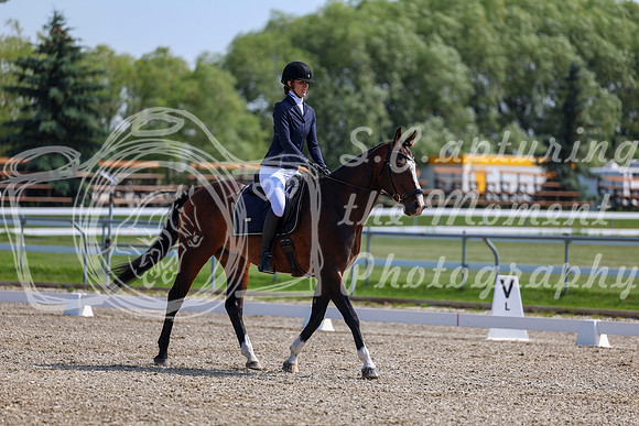 2025 - Dressage Festival - Saturday July 5th - 03563