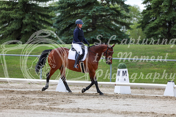 2025 - Dressage Festival - Saturday July 5th - 09738