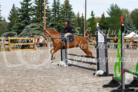2025 - Haylee - Picco Horse Show - Saturday July 26th 02334