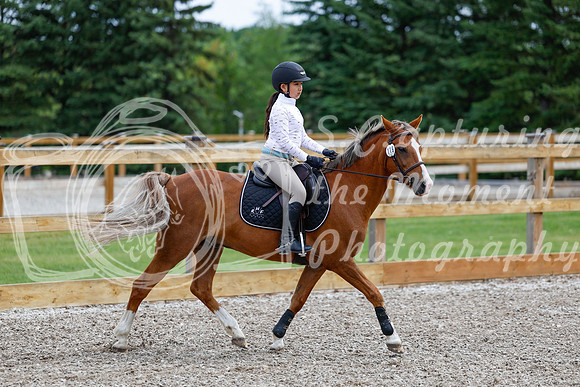 2025 - Haylee - Picco Horse Show - Friay July 25th 01308