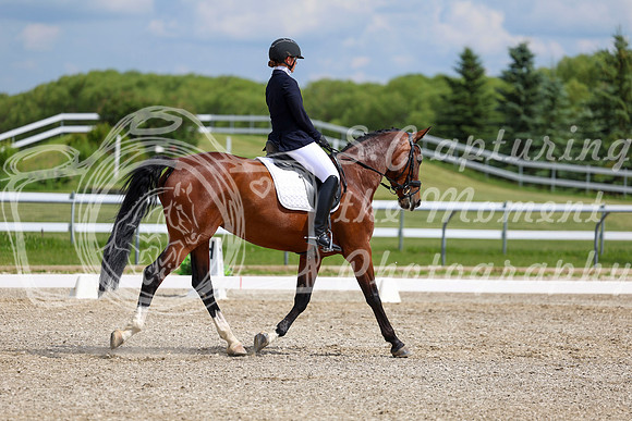 2025 - Dressage Festival - Saturday July 5th - 12845