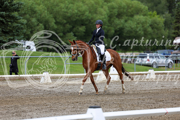 2025 - Dressage Festival - Sunday July 6th - 12258