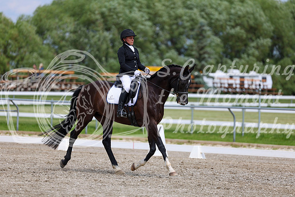 2025 - Dressage Festival - Saturday July 5th - 11409