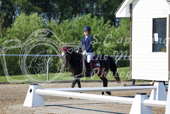 2025 - Dressage Festival - Saturday July 5th - 00650
