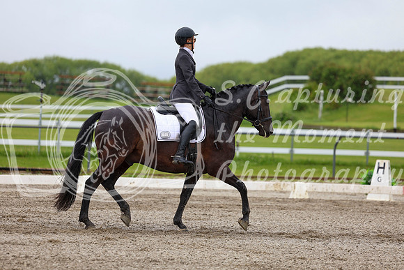 2025 - Dressage Festival - Sunday July 6th - 04549