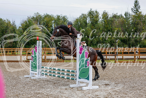 2025 - Haylee - Picco Horse Show - Friay July 25th 00449