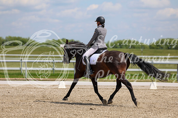 2025 - Dressage Festival - Saturday July 5th - 10318