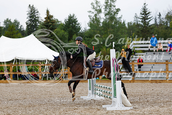 2025 - Haylee - Picco Horse Show - Sunday July 27th 00581