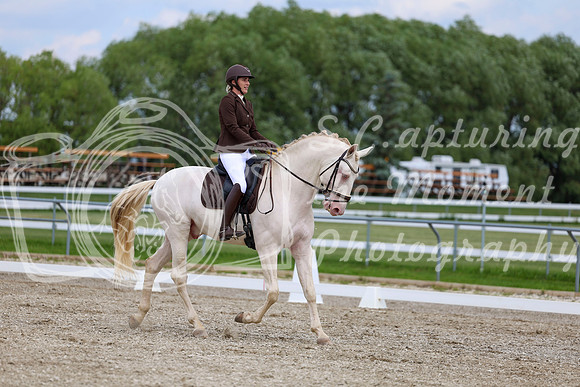 2025 - Dressage Festival - Saturday July 5th - 12082
