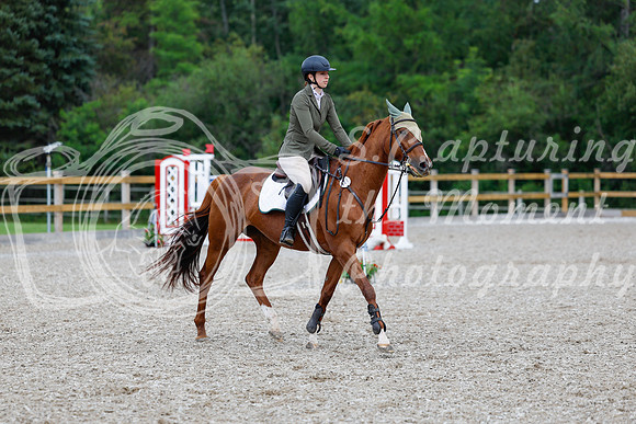2025 - Haylee - Picco Horse Show - Sunday July 27th 03627