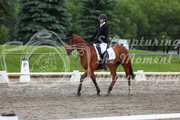 2025 - Dressage Festival - Sunday July 6th - 07252