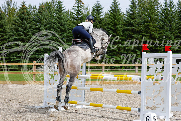 2025 - Haylee - Picco Horse Show - Friay July 25th 04402
