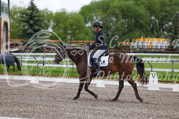 2025 - Dressage Festival - Sunday July 6th - 01688