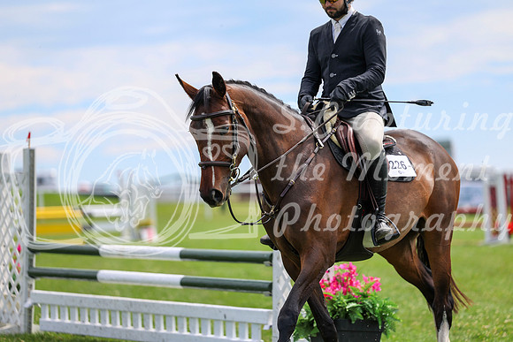 2025 - Shea - Teesdale - Thursday July 24th - 00428